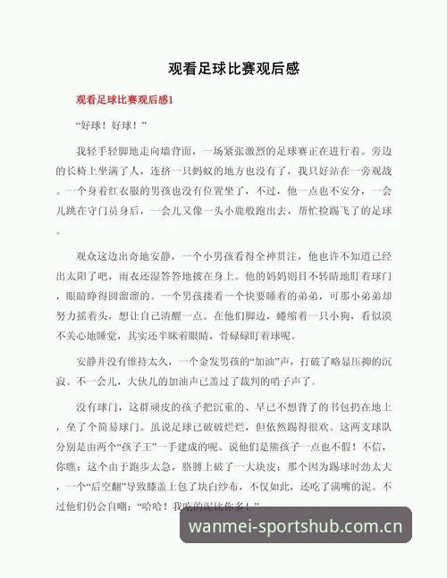 资深用户分享：从世界杯扩军看2030年足球盛事，完美体育登录入口必备观赛心得